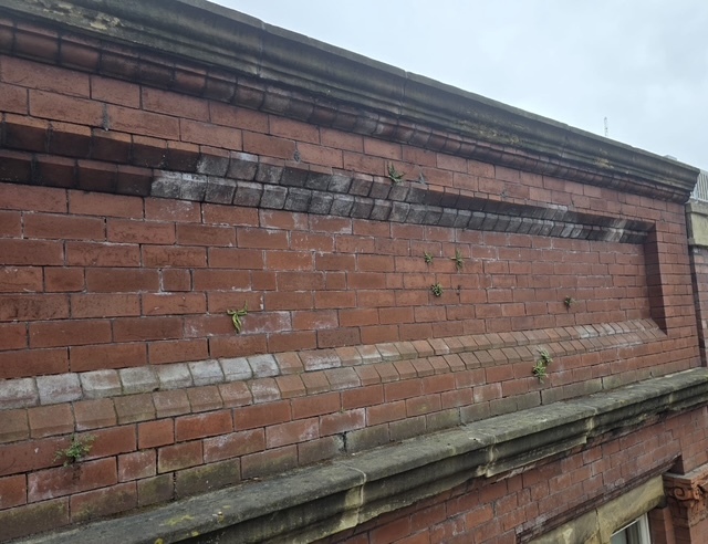 Efflorescence before leeds